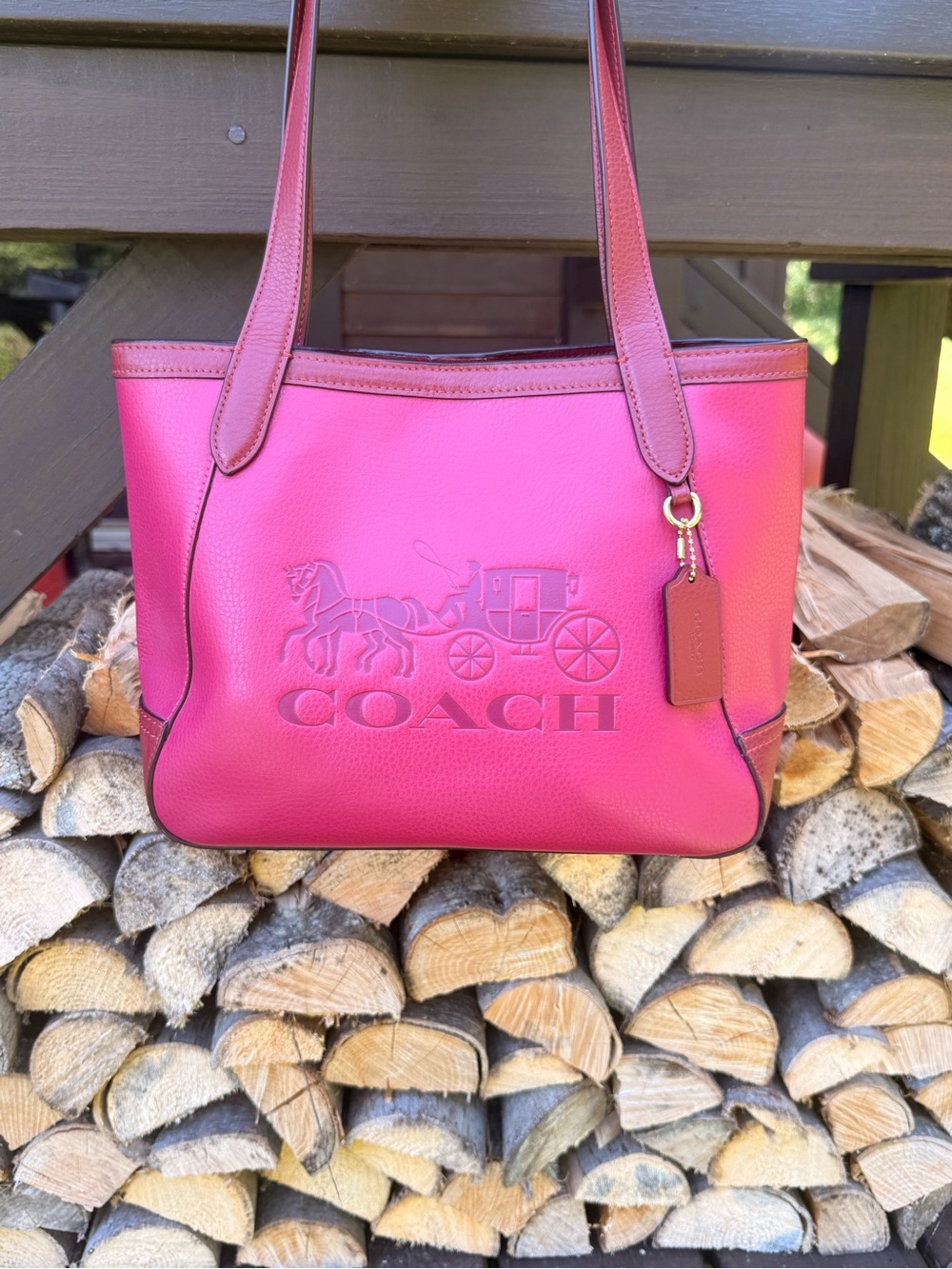 Coach Colorblock Horse & Carriage 27 Tote bag